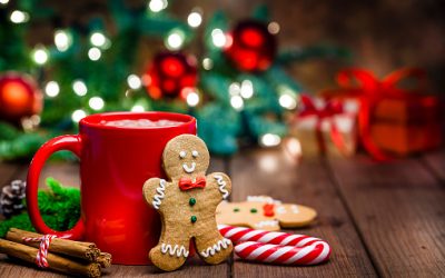 Plumb Newsletter – December 2025